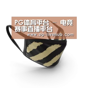 成人布口罩