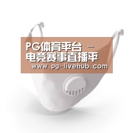 N95 口罩