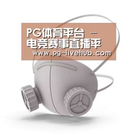 N95 口罩