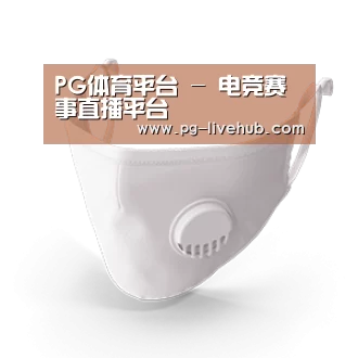 N95 口罩
