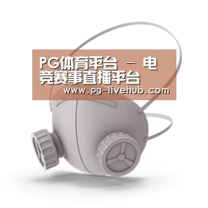 N95 口罩