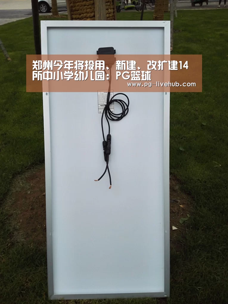 郑州今年将投用、新建、改扩建14所中小学幼儿园:PG篮球(图2) PG体育