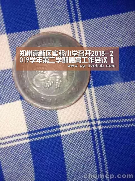 郑州高新区实验小学召开2018-2019学年第二学期德育工作会议【PG篮球】(图4) PG足球