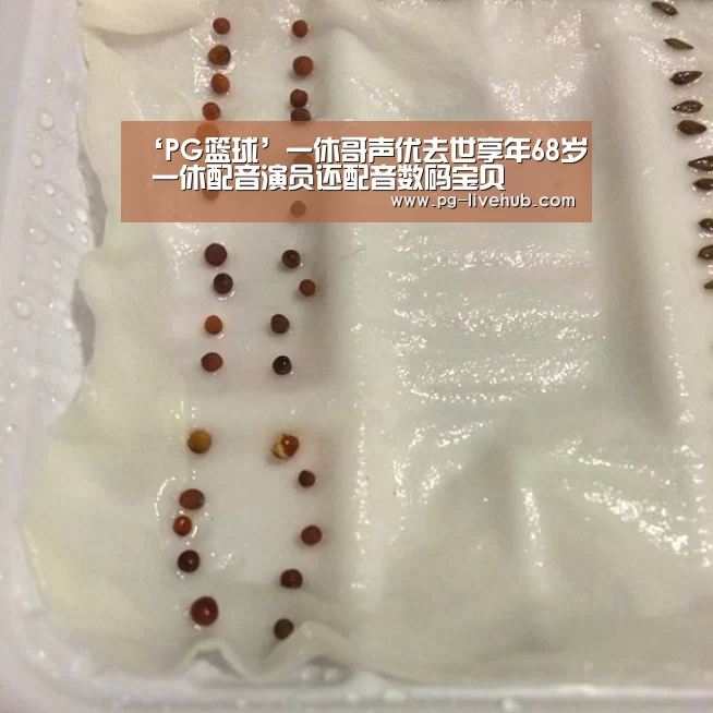 PG竞猜