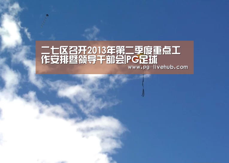 二七区召开2013年第二季度重点工作安排暨领导干部会|PG足球(图1) PG足球