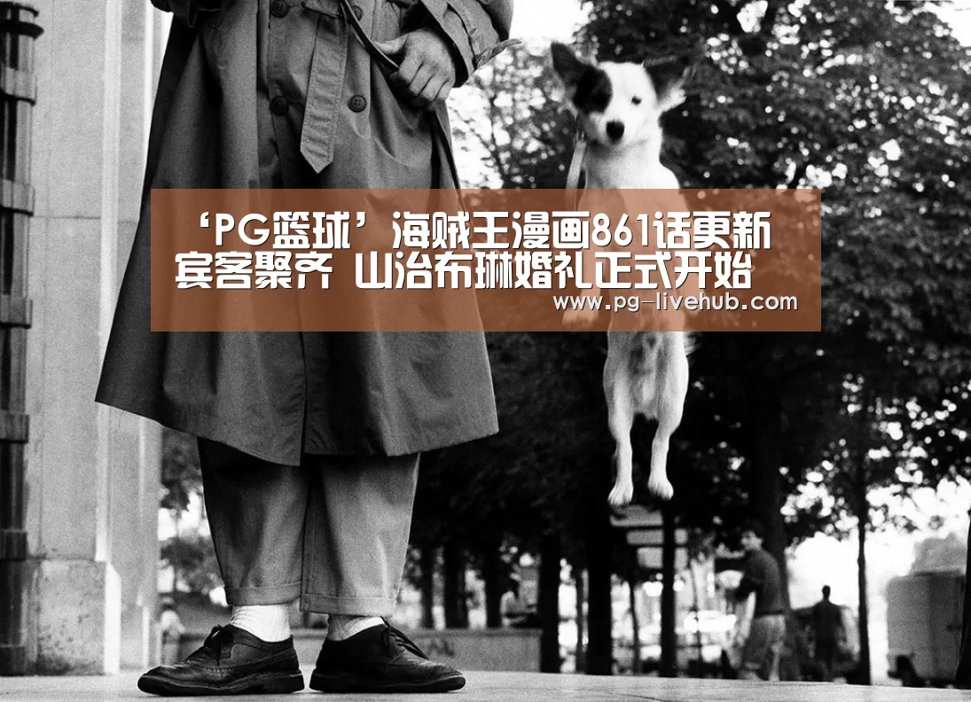 PG篮球