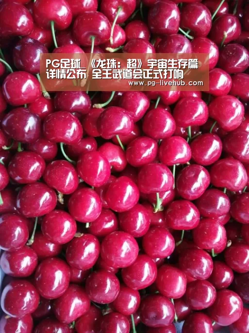 PG足球_《龙珠:超》宇宙生存篇详情公布 全王武道会正式打响(图1) PG体育