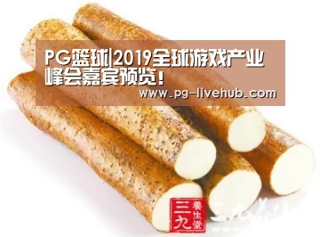 PG篮球|2019全球游戏产业峰会嘉宾预览!(图2) PG体育
