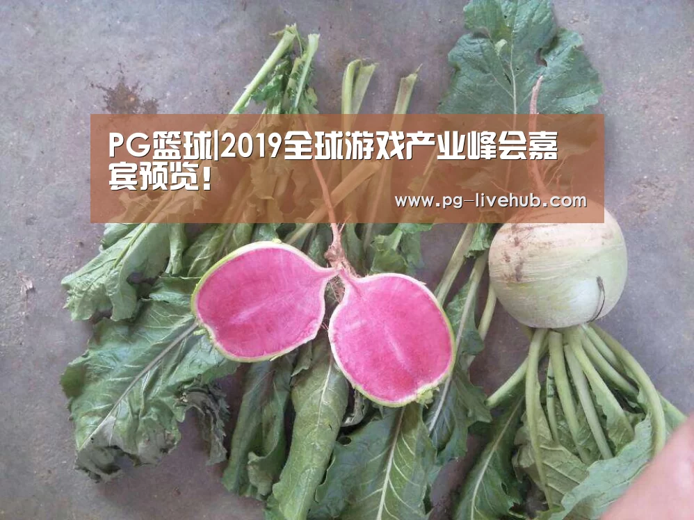 PG篮球|2019全球游戏产业峰会嘉宾预览!(图1) PG体育