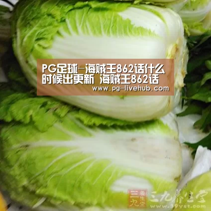 PG足球-海贼王862话什么时候出更新 海贼王862话最新情报(图1) PG竞猜